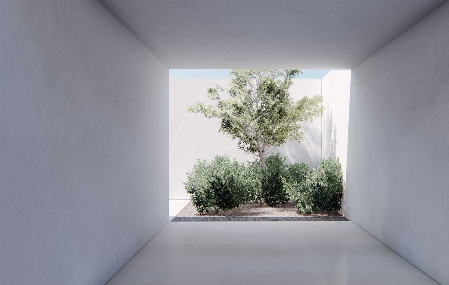 Espacios - Casa con tres patios • ITERARE ARQUITECTOS