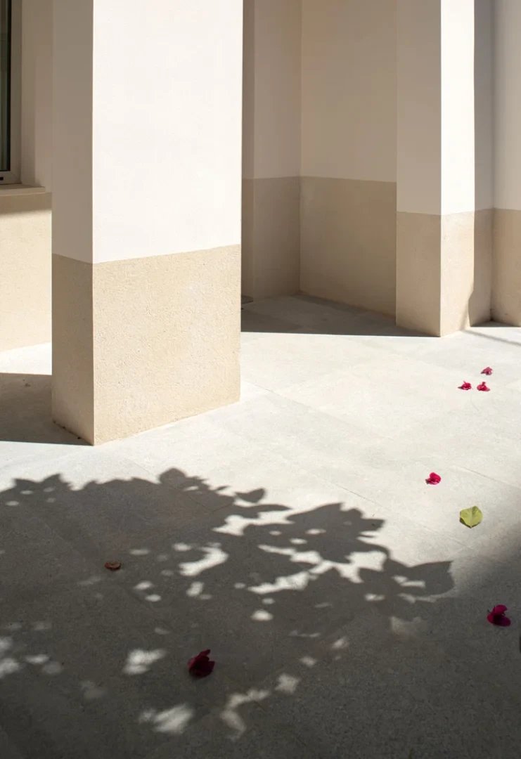 Patio de muros encalados con sombras del arbolado en la Casa del Limonero